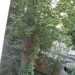 Mozart's Garden فيلة