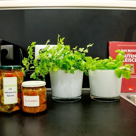 Mozart's Garden וילה זלצבורג